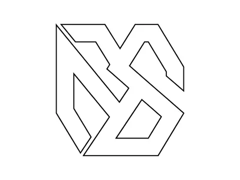 A flat closed cut path traced from a photograph, the outline a laser or router follows