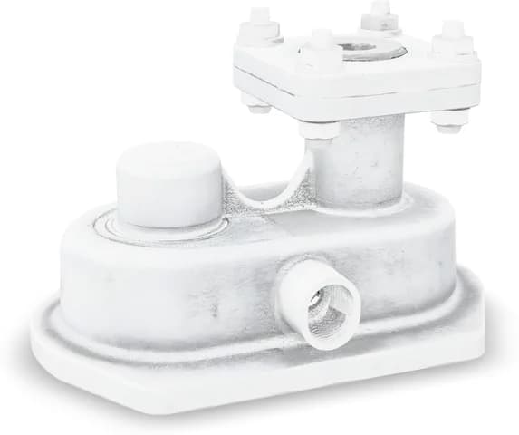 The 3D model reconstructed from that photograph